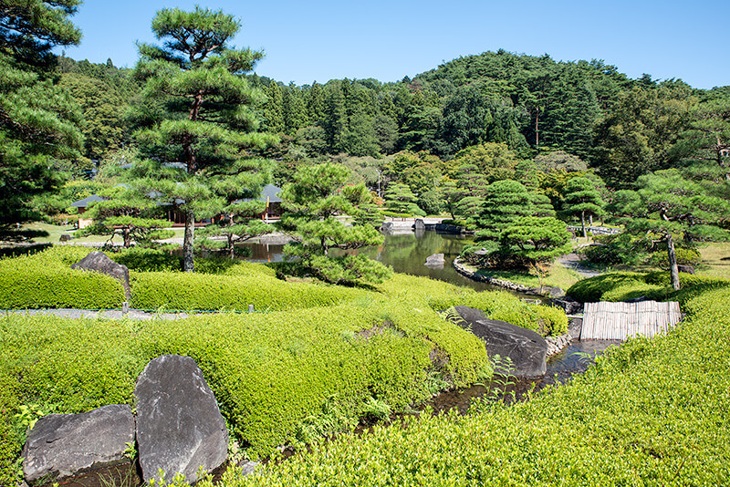 築山から上池を見下ろす