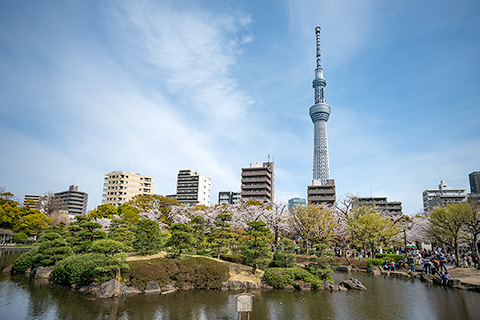 隅田公園