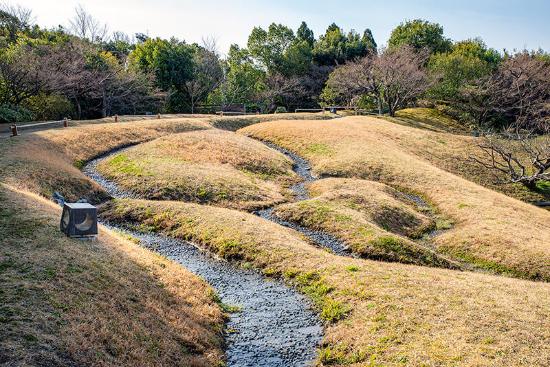 野筋（のすじ）