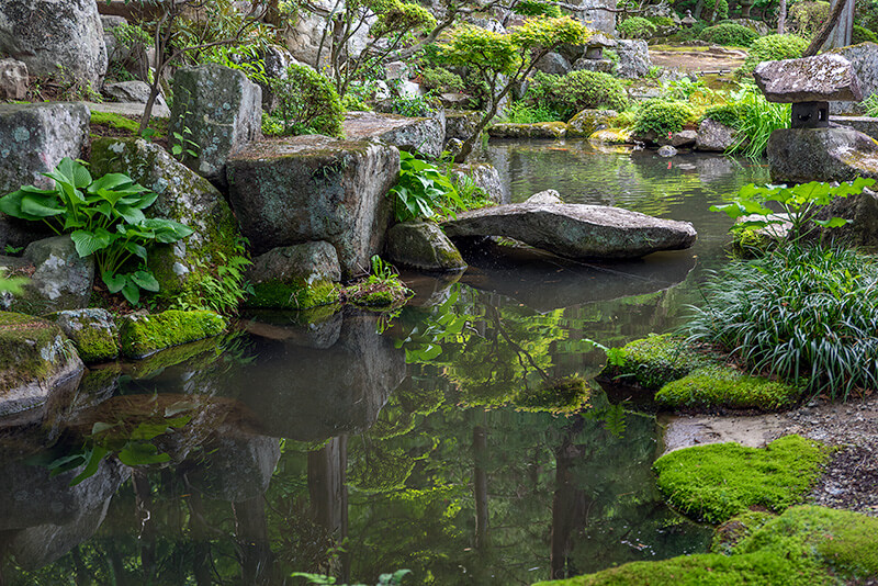 美しい形の沢飛石