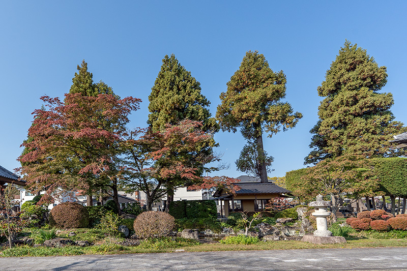 池泉庭園