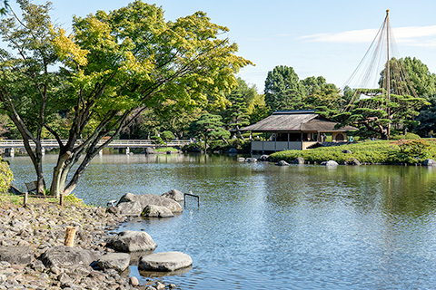昭和記念公園　日本庭園