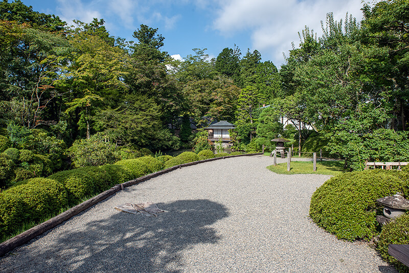 植栽豊か過ぎる庭園