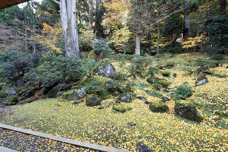 前庭の枯山水