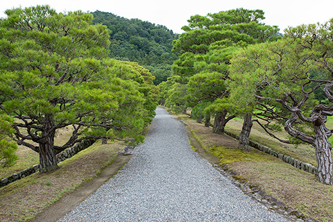 修学院離宮(下離宮・中離宮)