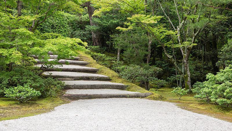 中離宮の苔庭