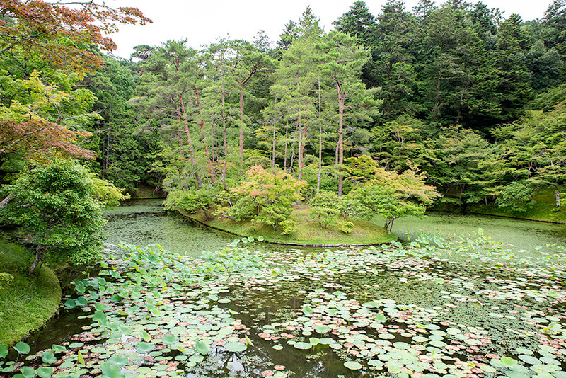 浴龍池の中島