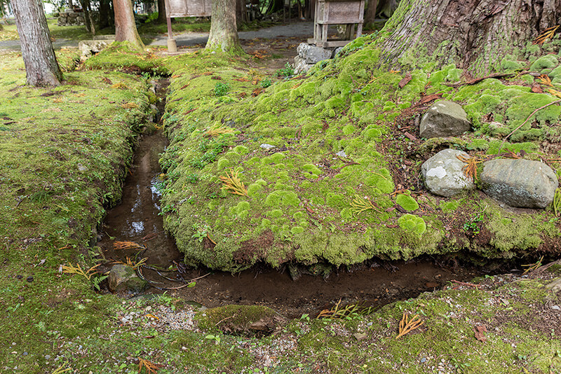 遣り水