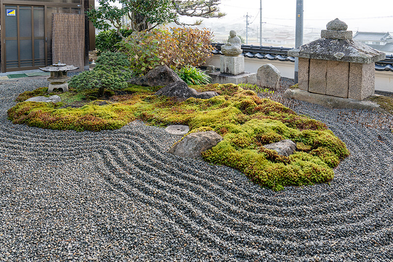 庫裏前にも苔島