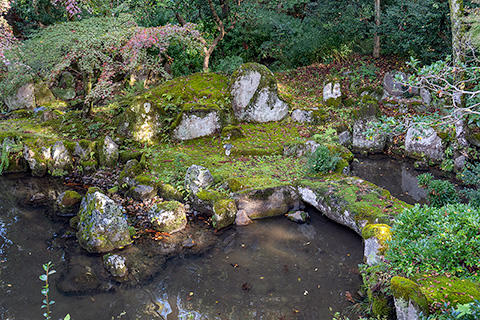 多賀大社 奥書院庭園