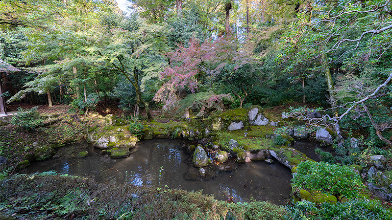 奥書院庭園