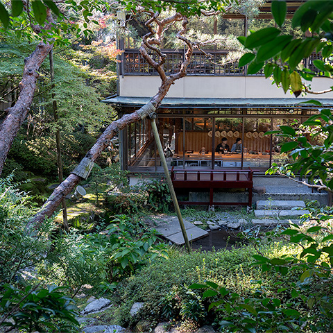 大力邸　双龍庭園