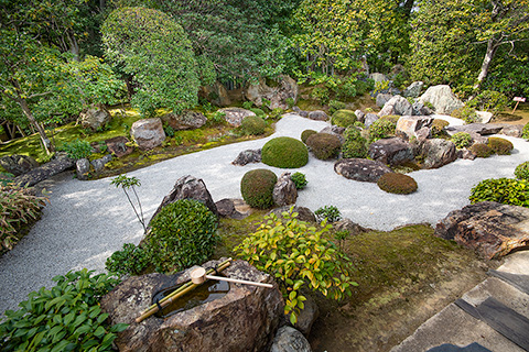 退蔵院