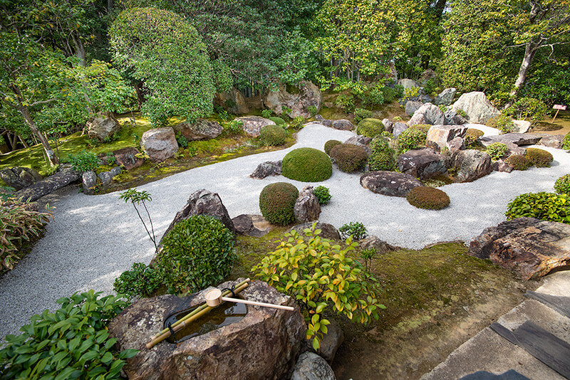 元信の庭　全景