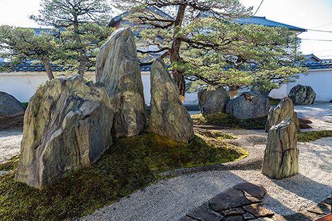 田茂井邸庭園「蓬仙寿の庭」