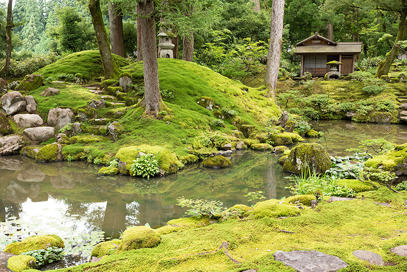 沢飛石