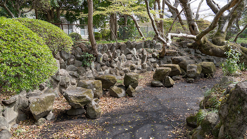 沢飛石