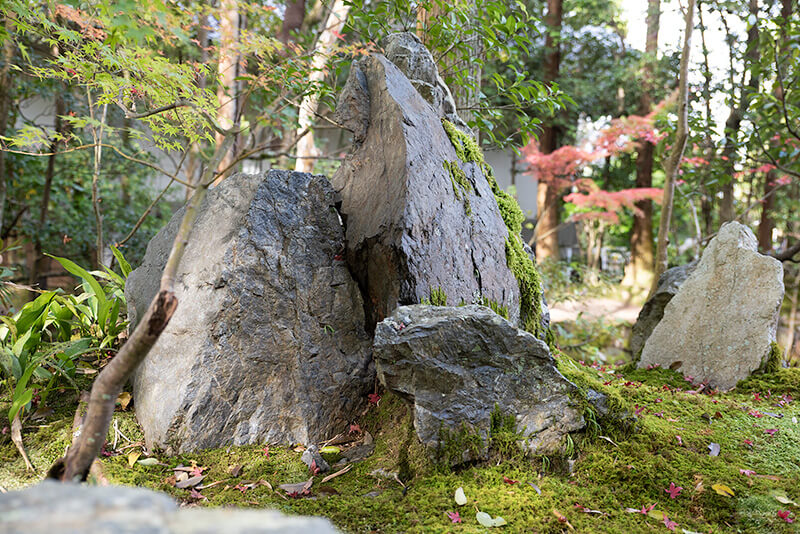 書院南庭　蓬莱島の三尊石