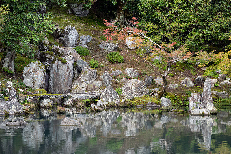 視点によって景が変化していくのも天龍寺の魅力
