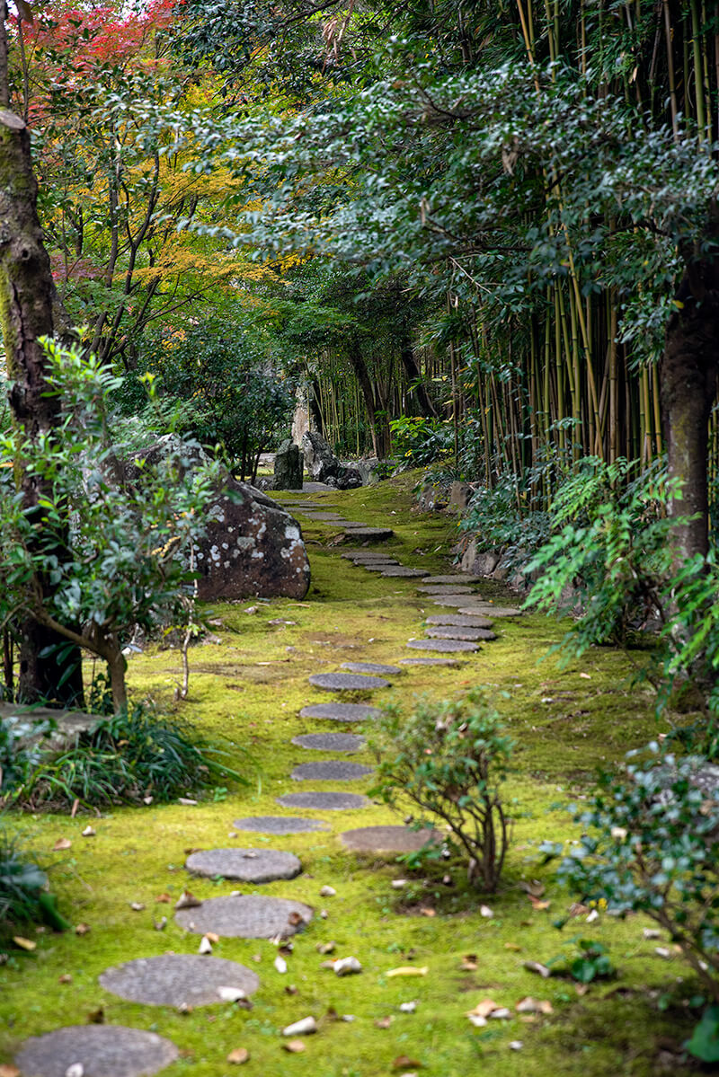 竹林、苔庭、丸石による飛石という意匠