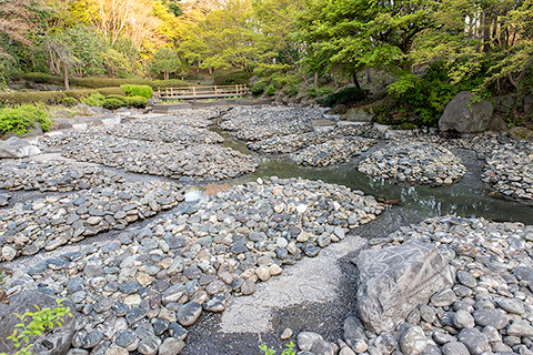 栃木県中央公園 日本庭園