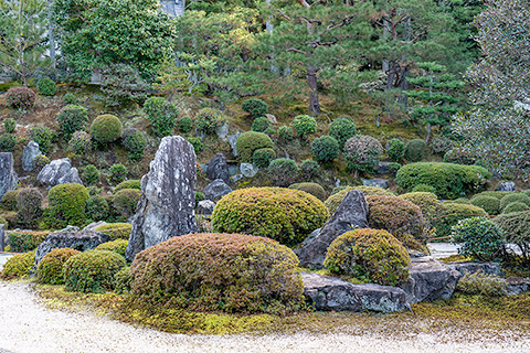 東福寺普門院