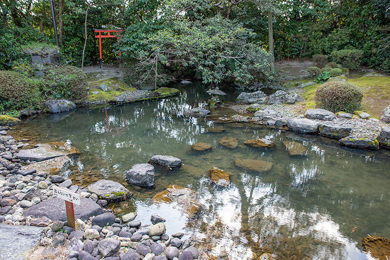 沢飛石