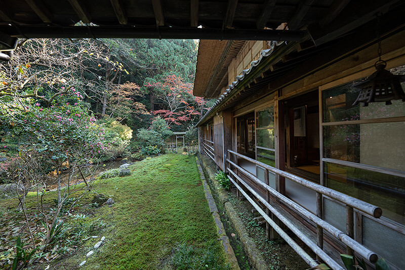 東庭