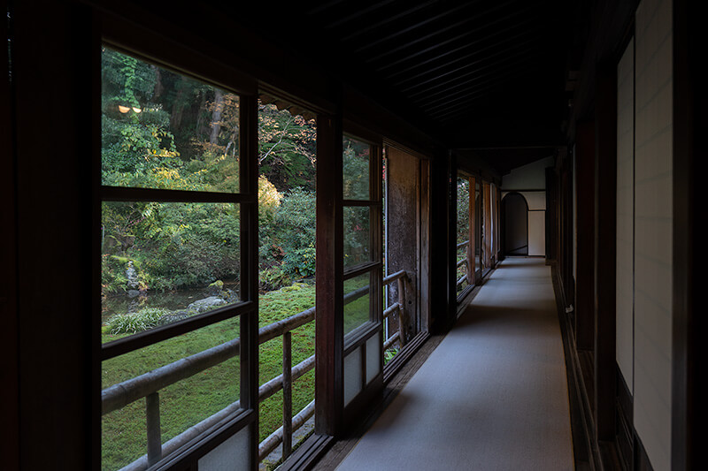 東庭