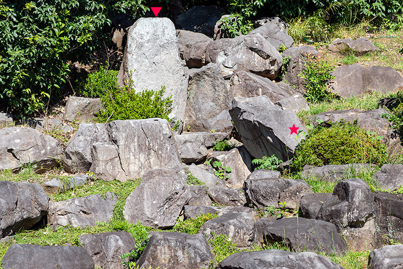 東光寺庭園　龍門瀑