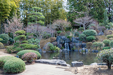 所沢航空記念公園　日本庭園