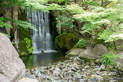 徳川園
