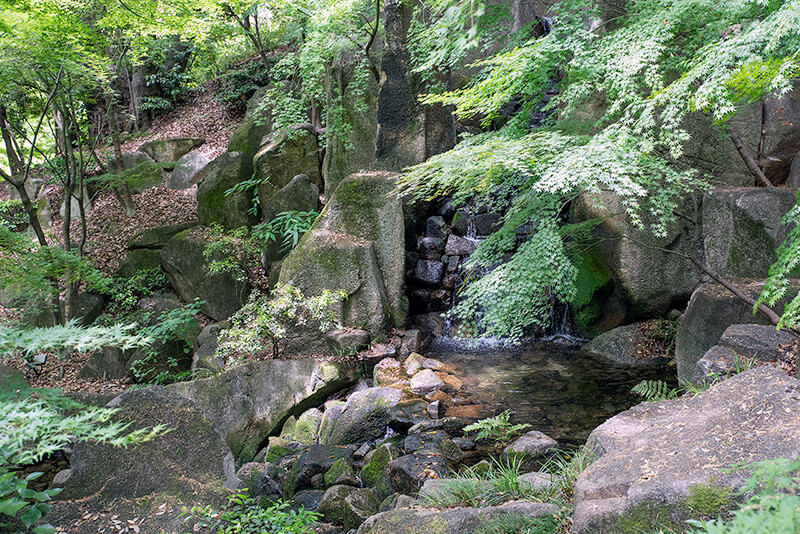 大曽根の瀧