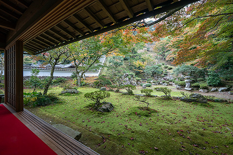 徳源院