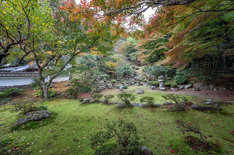 焦点距離14mm（フルサイズ）で撮影