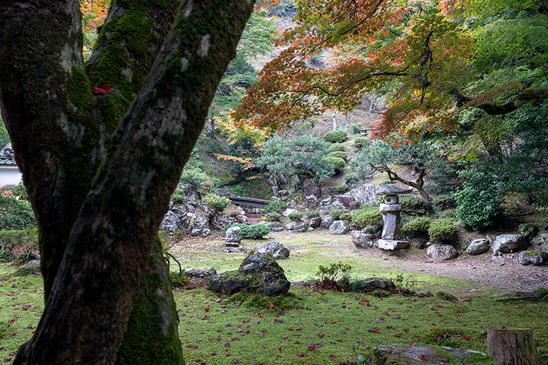 足立美術館の額縁庭園風に撮影