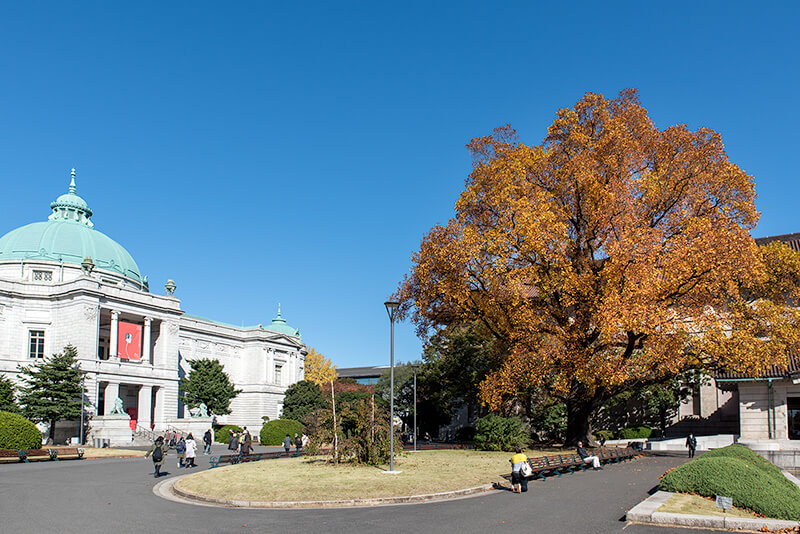 東京国立博物館の表慶館