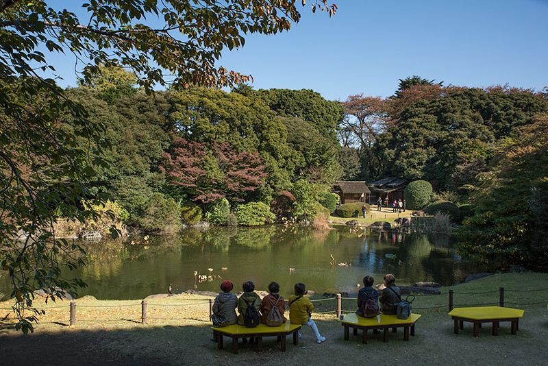 池泉庭園を望む