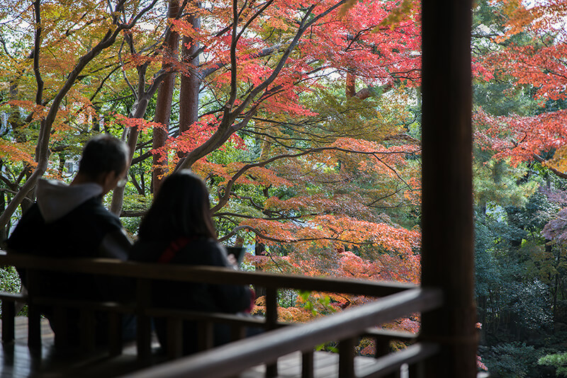 紅葉亭からの眺め
