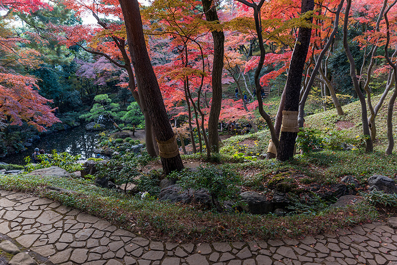 紅葉亭に続く石畳