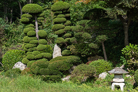 東陽寺