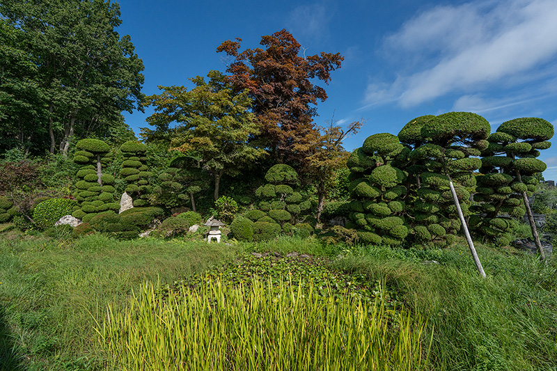 庭園