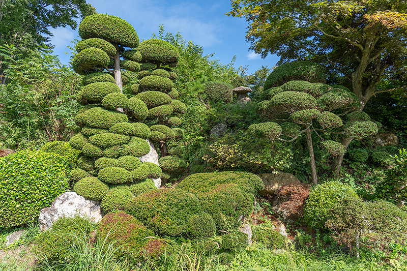 東陽寺