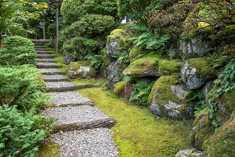 苔付いた坂道