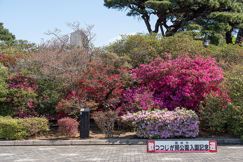 つつじが岡公園
