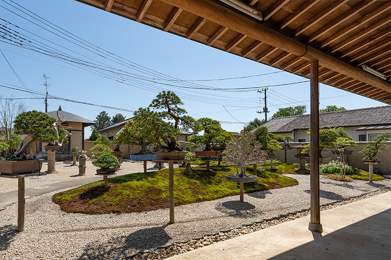 盆栽観賞庭園