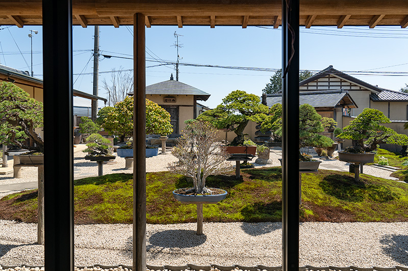 盆栽観賞庭園