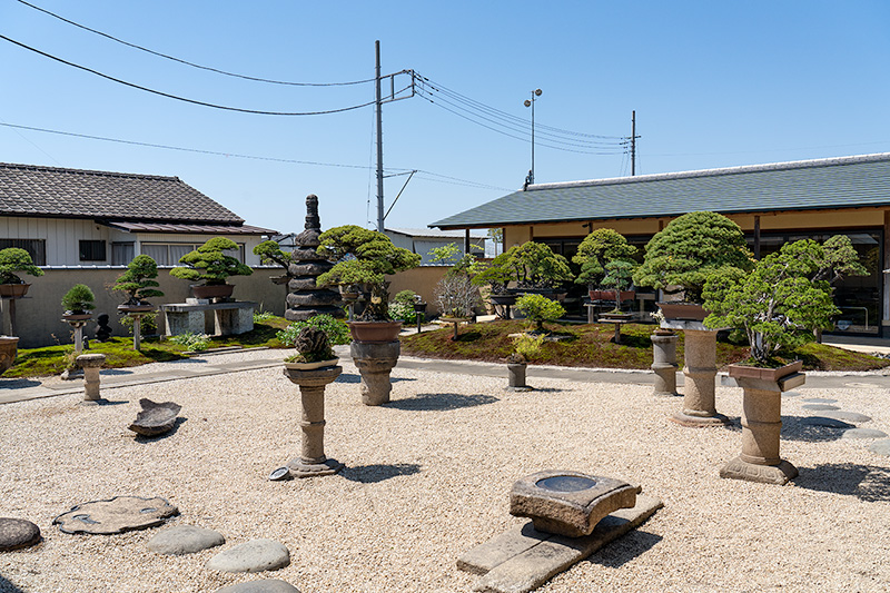 盆栽観賞庭園