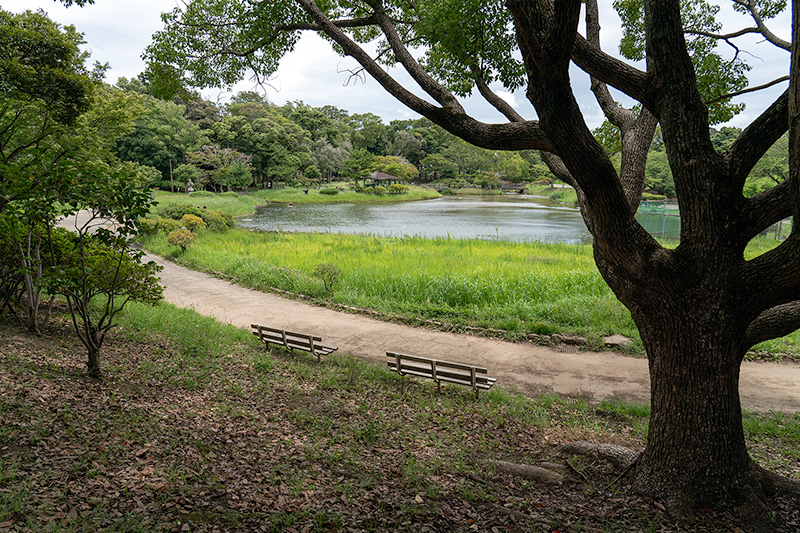 日本庭園