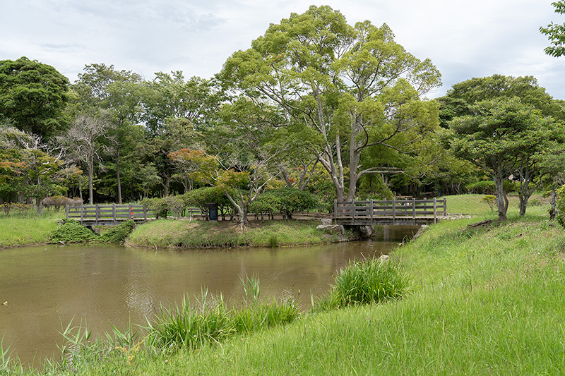 日本庭園　中島